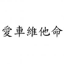 愛車維他命