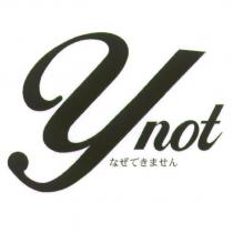 Ynot なぜできません