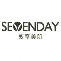 效率美肌及 SEVENDAY 設計圖
