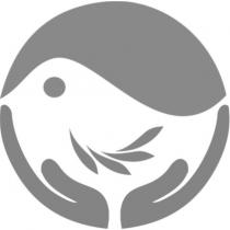 鳥設計圖