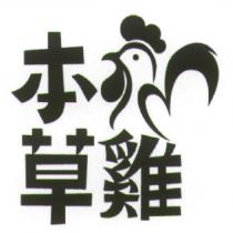 本草雞及圖
