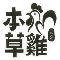 三金 本草雞及圖