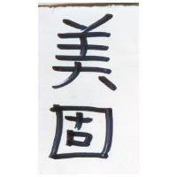 美固
