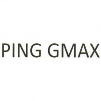 PING GMAX