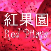 紅果園 Red Pitaya 及圖