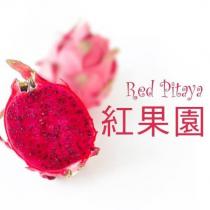 Red Pitaya 紅果園及圖
