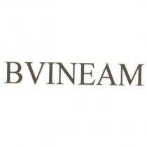 BVINEAM