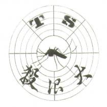 TS 殺很大及圖