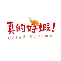 真的好蝦!Dried Shrimp 設計字及圖
