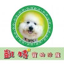 凱特寵物沙龍及圖