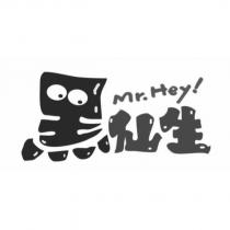 黑仙生 Mr.Hey!