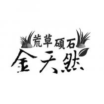 金天然荒草碩石及圖