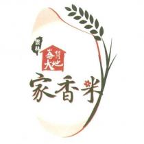 崙背大地 家香米 及圖