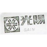 光陽及圖 GAIN 