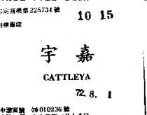 宇嘉 CATTLEYA 