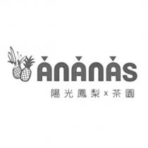 陽光鳳梨 x 茶園 AnAnAS 設計字及圖