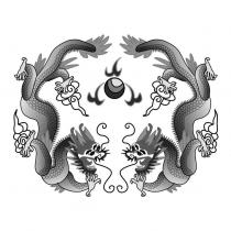 雙龍圖