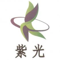 紫光及圖