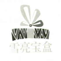 雪亮寶盒 & device