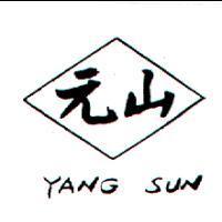 元山 YANG SUN 