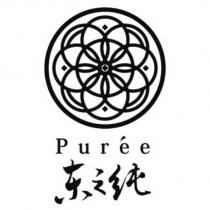 東之純 Puree 及圖