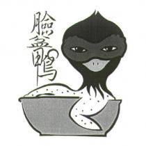 臉盆鴨及圖