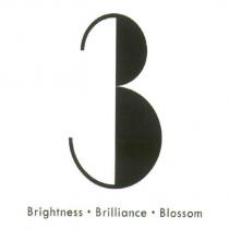 3B Brightness.Brilliance.Blossom 及圖