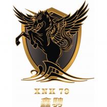 鑫騁 XNK79 及圖