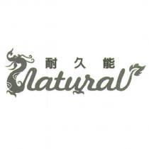 耐久能及龍圖 NATURAL