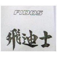 飛迪士 FIDOS 