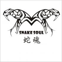 SNAKE SOUL 蛇魂及圖