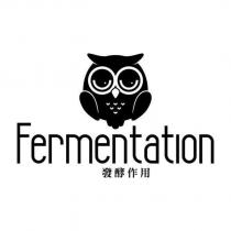 發酵作用 Fermentation 及圖