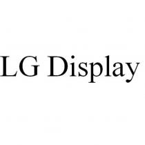 LG Display
