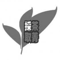採茶取菁及圖