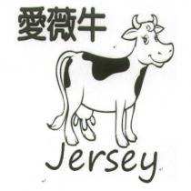 愛薇牛 Jersey 及圖