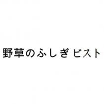 野草のふしぎ ビスト