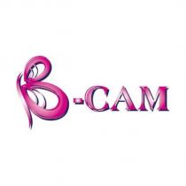 B-CAM 設計圖