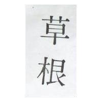 草根