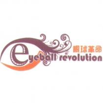眼球革命 eyeball revolution 及圖