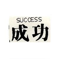 成功 SUCCESS