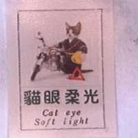 貓眼柔光及圖 CAT EYE SOFT LIGHT 