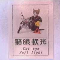 貓眼軟光及圖 CAT EYE SOFT LIGHT 