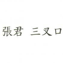 張君 三叉口