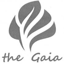 the Gaia 及圖