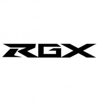 RGX 設計圖