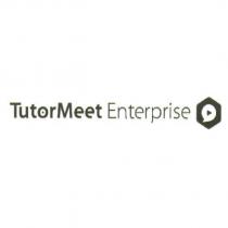 TutorMeet Enterprise +蜂巢圖