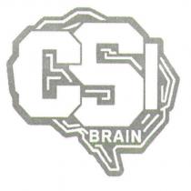 CSI-Brain 及圖