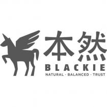 本然 Blackie 加圖