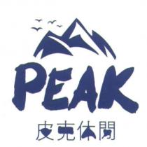 皮克休閒 PEAK