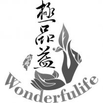 極品益 Wonderfulife 及圖